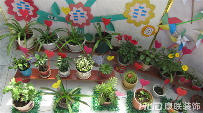幼儿园设计中植物摆放注意要点